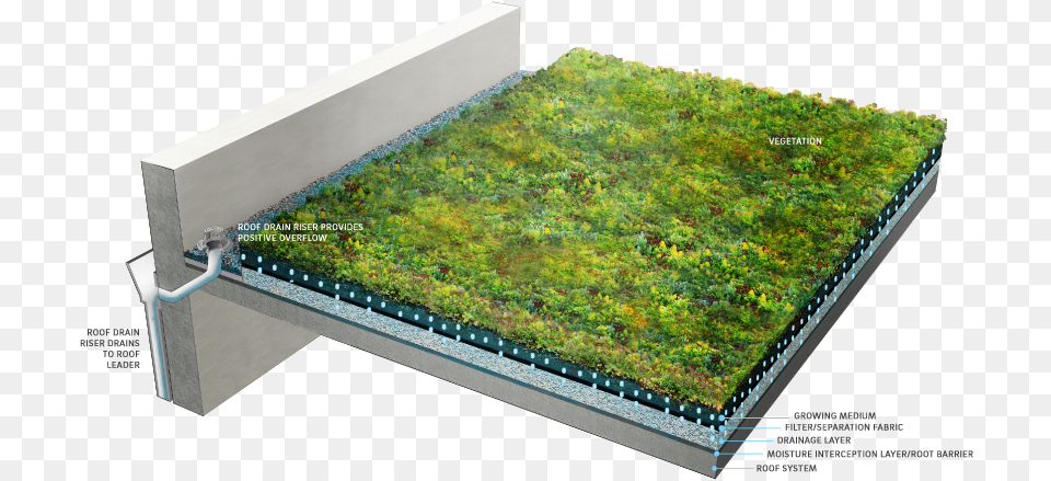 Green Roof Components Green Roof, Moss, Plant, Grass Free Transparent Png