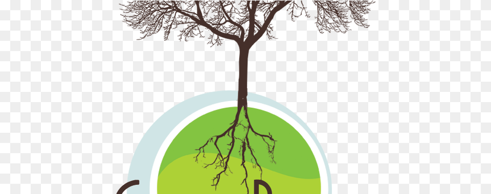 Green Roots Everyone Is A Genius Quote, Plant, Root, Tree Free Transparent Png