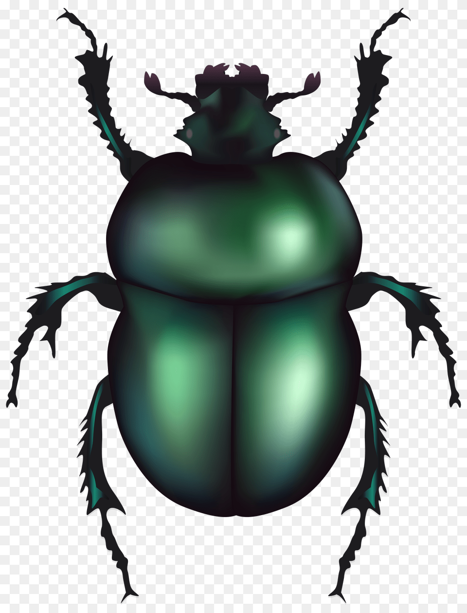 Green Rose Chafer Beetle Clip Art, Animal, Dolphin, Mammal, Sea Life Free Png