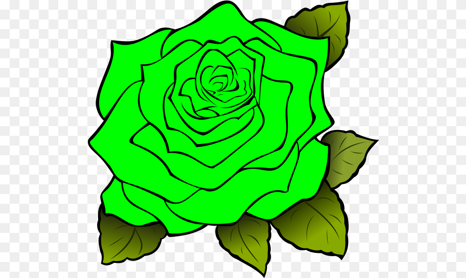 Green Rose Flower Clip Art Vector Clip Art Orange Roses Clip Art, Leaf, Plant, Pattern, Person Png