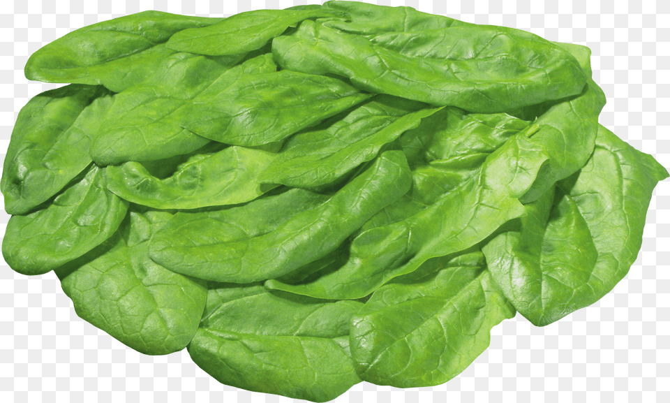 Green Salad Piece Of Lettuce Transparent Png Image