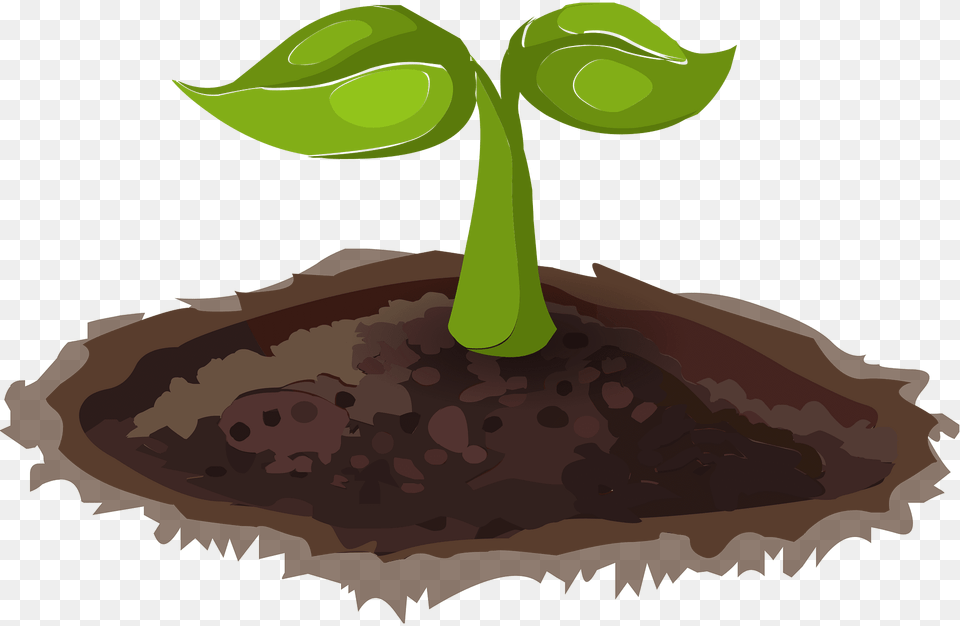 Green Sapling Clipart, Soil, Plant, Sprout, Animal Free Transparent Png