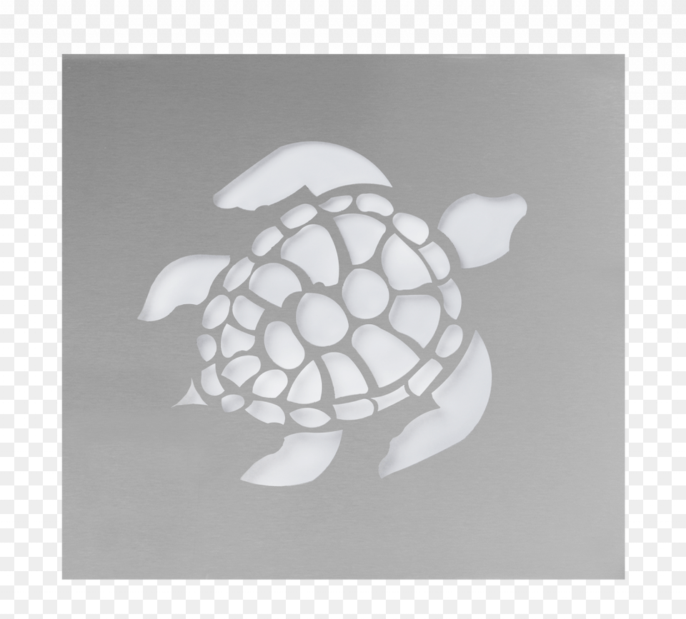 Green Sea Turtle, Sphere, Logo Free Png