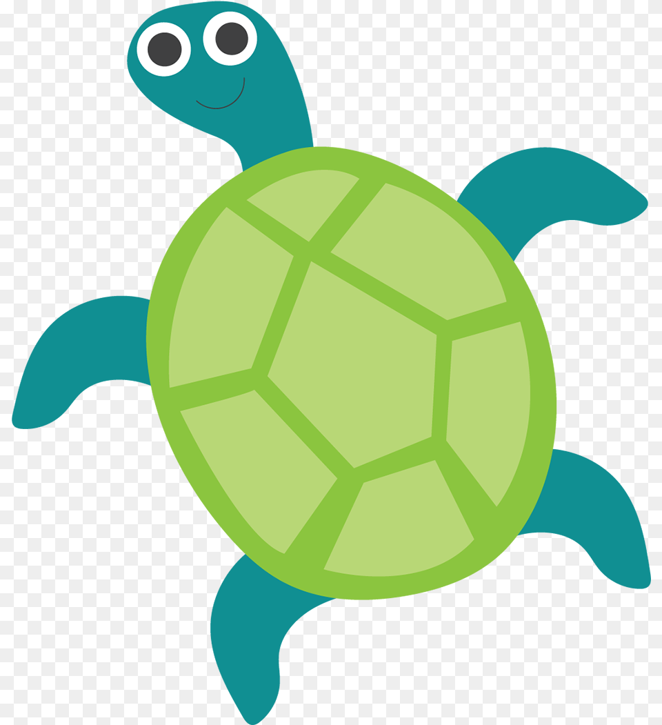 Green Sea Turtle, Soccer, Ball, Football, Sport Free Png