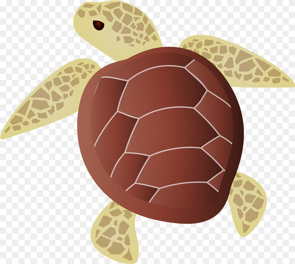 Green Sea Turtle, Animal, Reptile, Sea Life, Sea Turtle Free Png