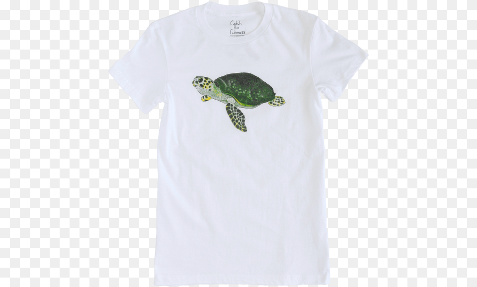Green Sea Turtle, Animal, Clothing, Reptile, Sea Life Png
