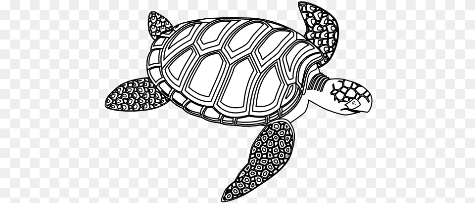 Green Sea Turtle Black White, Animal, Reptile, Sea Life, Tortoise Free Png Download