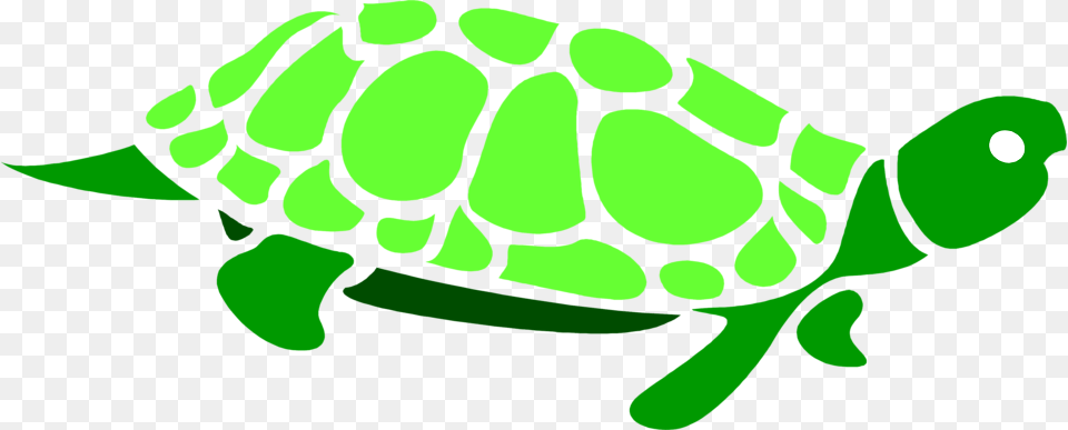 Green Sea Turtle Clip Art Turtle Clipart Clear Background, Animal, Reptile, Sea Life, Tortoise Free Png Download