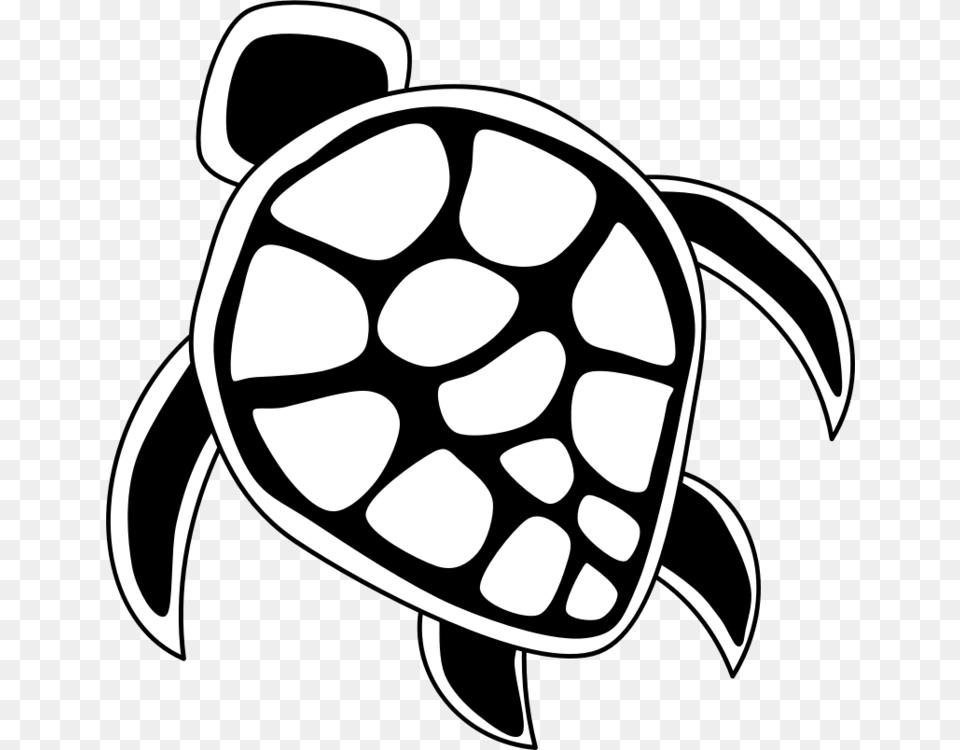 Green Sea Turtle Drawing The Turtle, Stencil, Animal, Sea Life Free Png