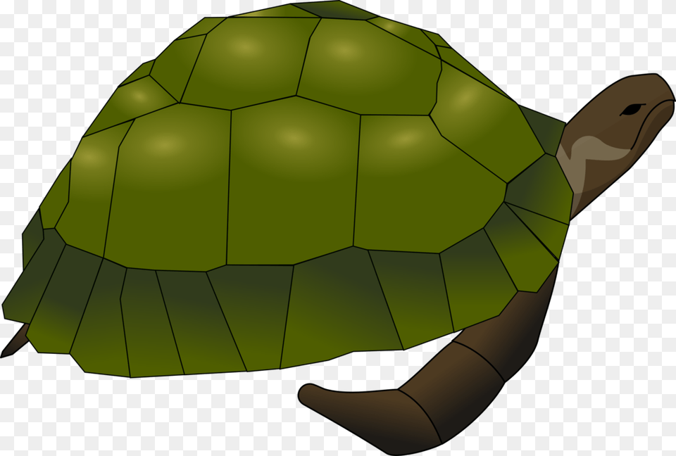 Green Sea Turtle Reptile Turtle Shell, Animal, Sea Life, Tortoise, Box Turtle Free Png Download