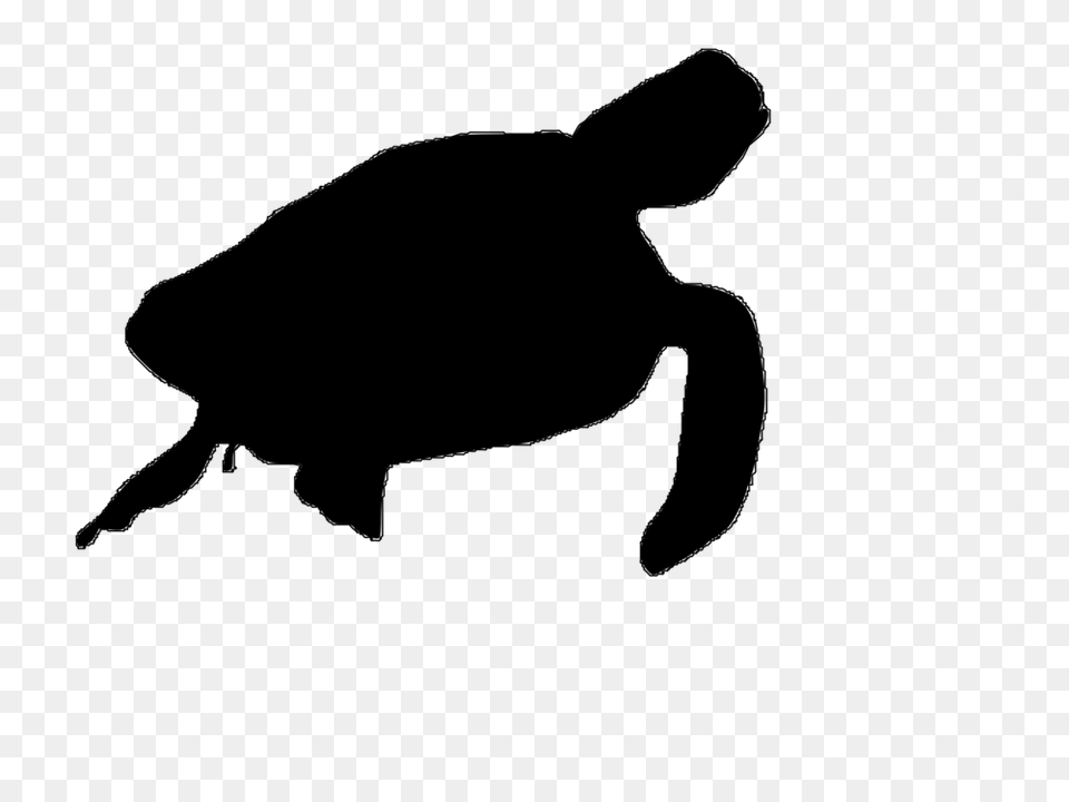 Green Sea Turtle Silhouette Art, Gray Png