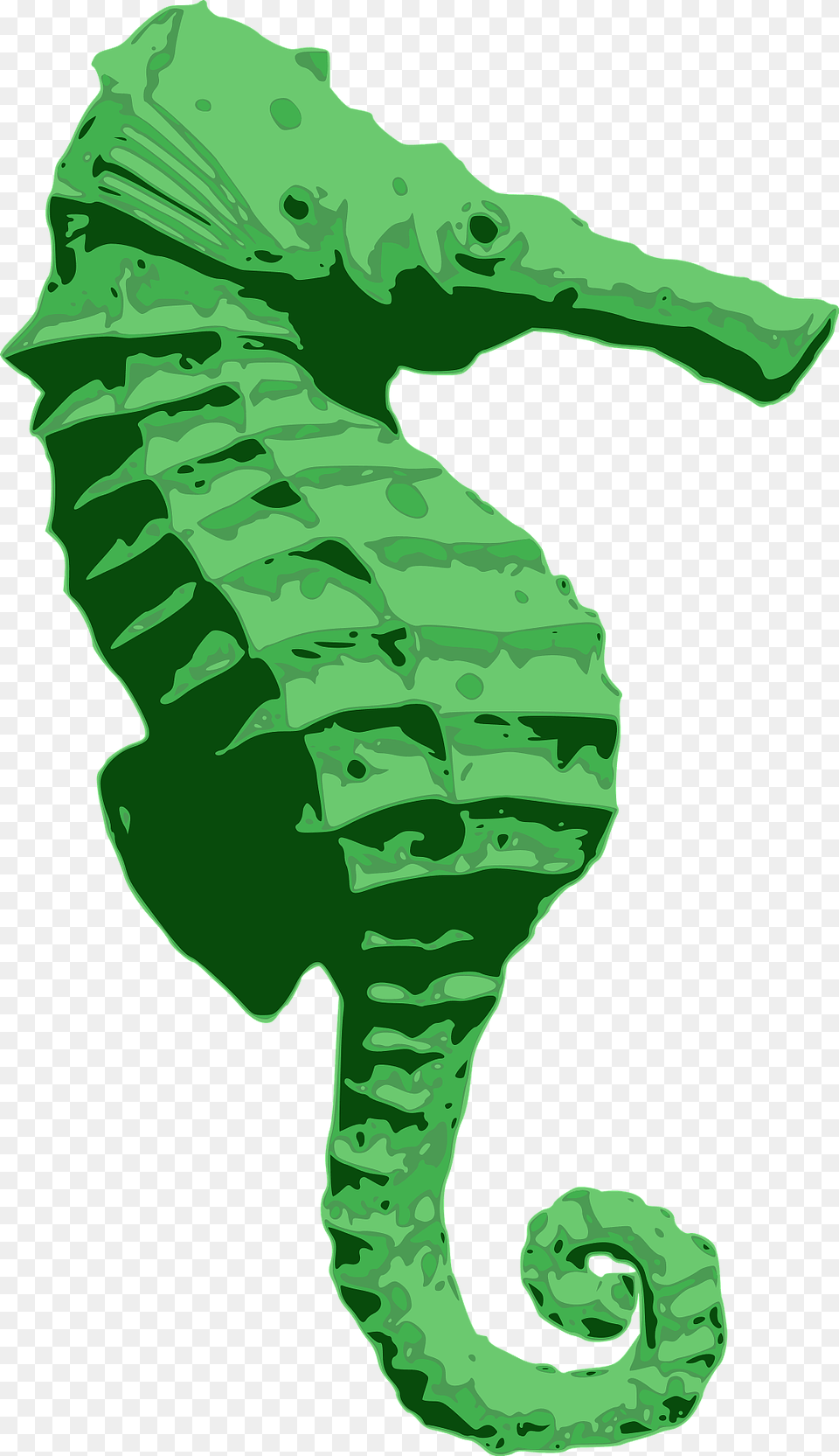 Green Seahorse Clipart, Animal, Mammal, Sea Life, Baby Free Transparent Png