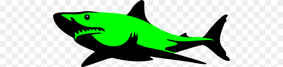 Green Shark Clip Arts For Web, Animal, Fish, Sea Life Free Png Download