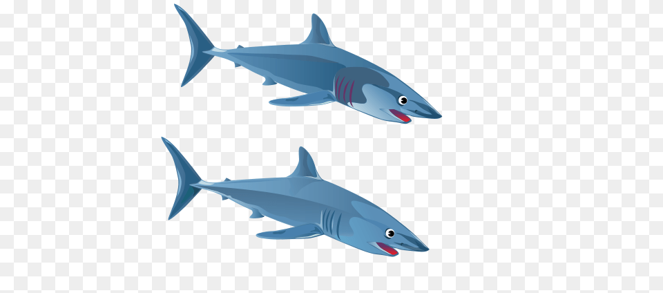 Green Shark Clipart For Web, Animal, Sea Life, Fish, Tuna Free Transparent Png