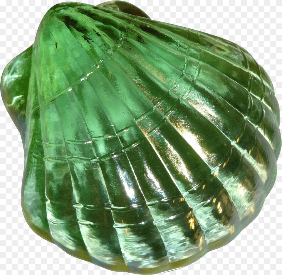 Green Shell Free Transparent Png