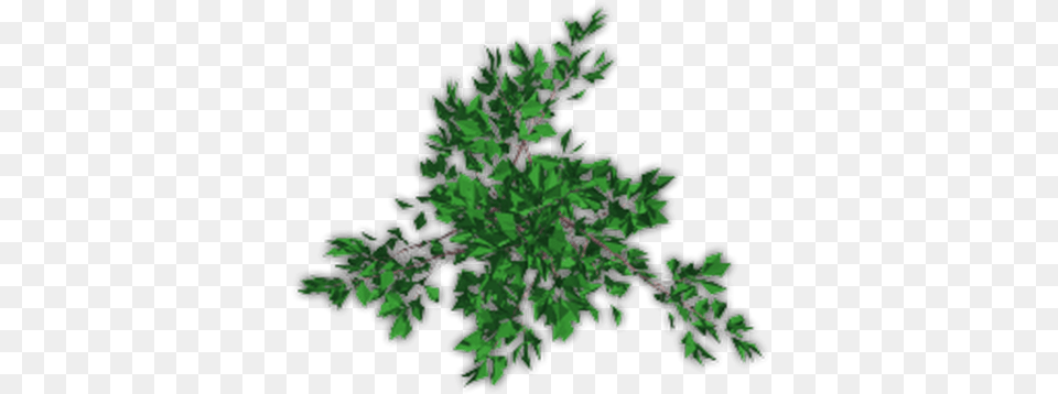 Green Shrubs Transparent Images Grass, Herbal, Herbs, Leaf, Plant Png