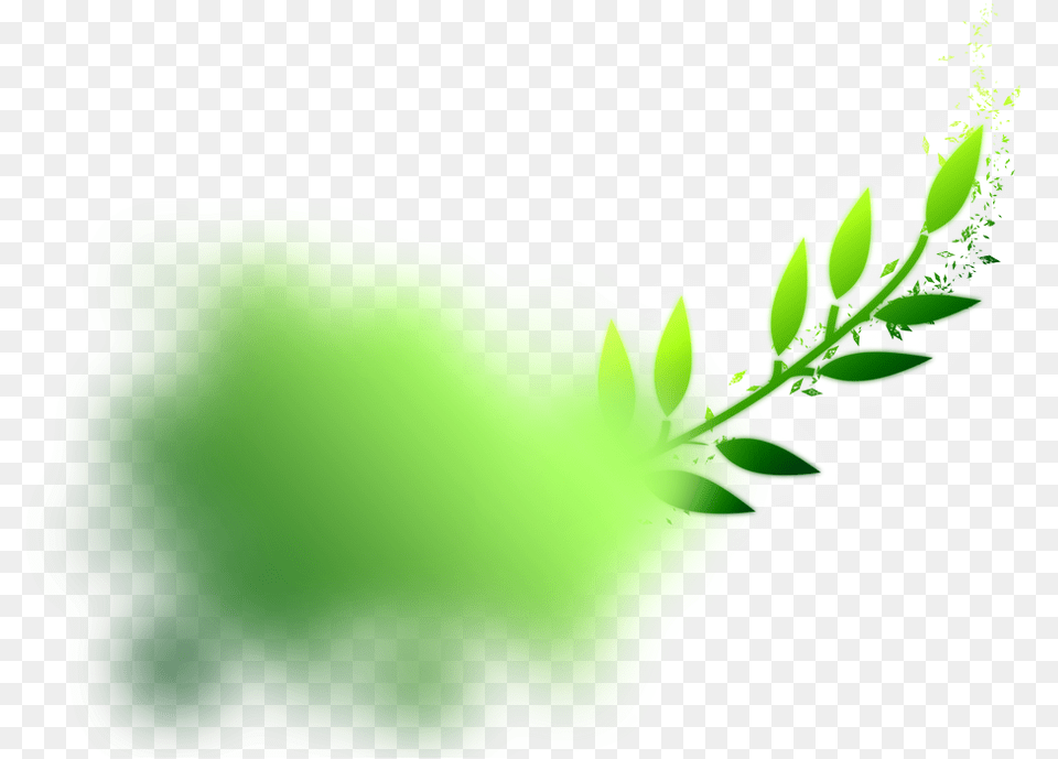 Green Smoke Transparent Graphics, Plant, Leaf, Ornament, Jewelry Png