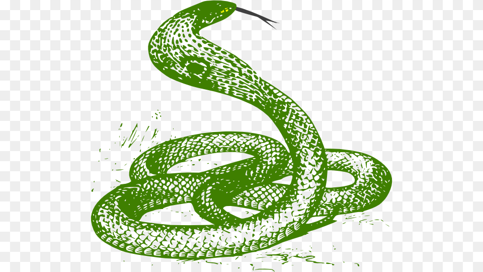 Green Snake, Animal, Reptile, Green Snake Png Image