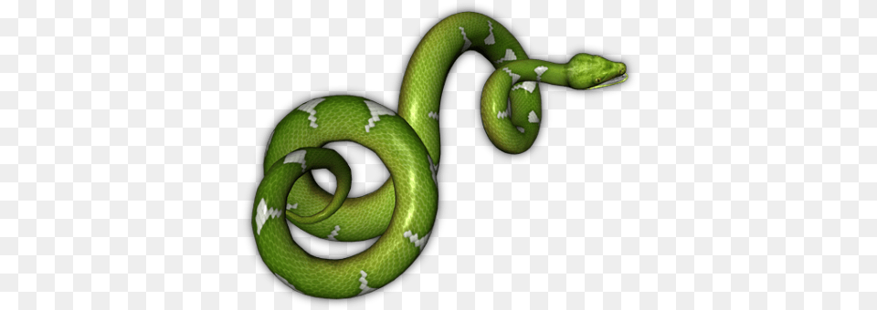 Green Snake Background Background Snake Clipart, Animal, Reptile, Green Snake Free Transparent Png