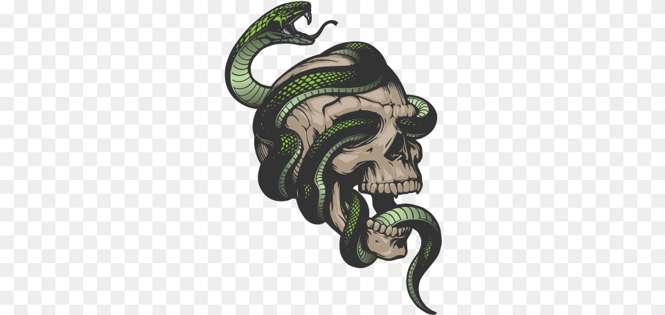 Green Snake Round Snake Skull, Face, Head, Person Png