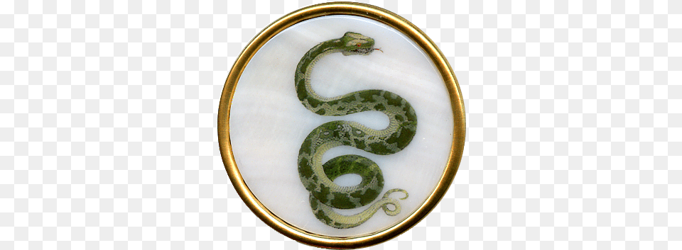 Green Snake Serpent, Animal, Reptile Free Png Download