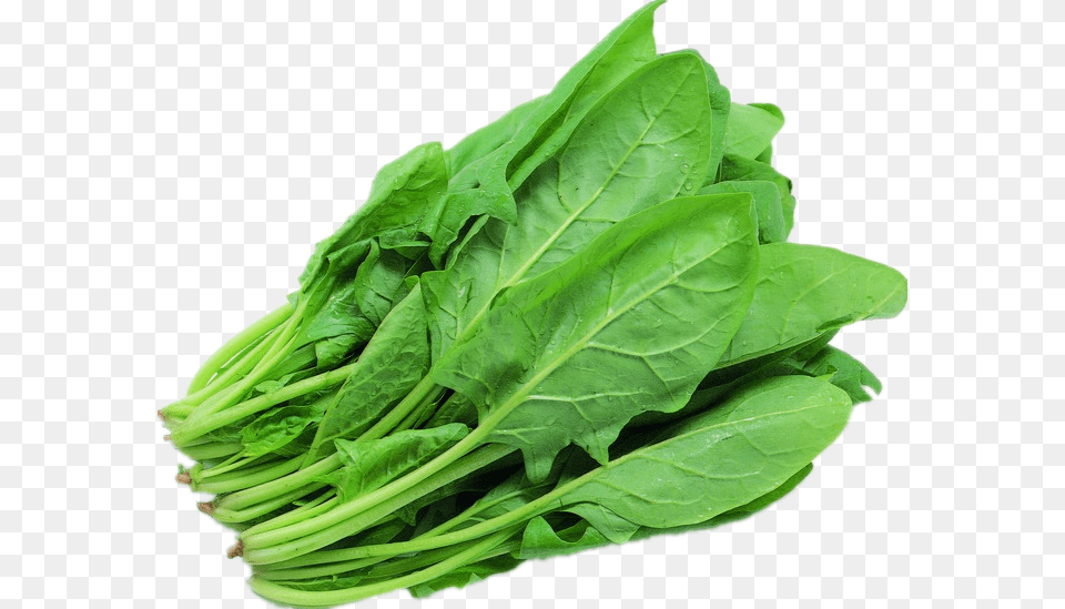Green Spinach Background Image Green Leafy Vegetables, Food, Leafy Green Vegetable, Plant, Produce Png