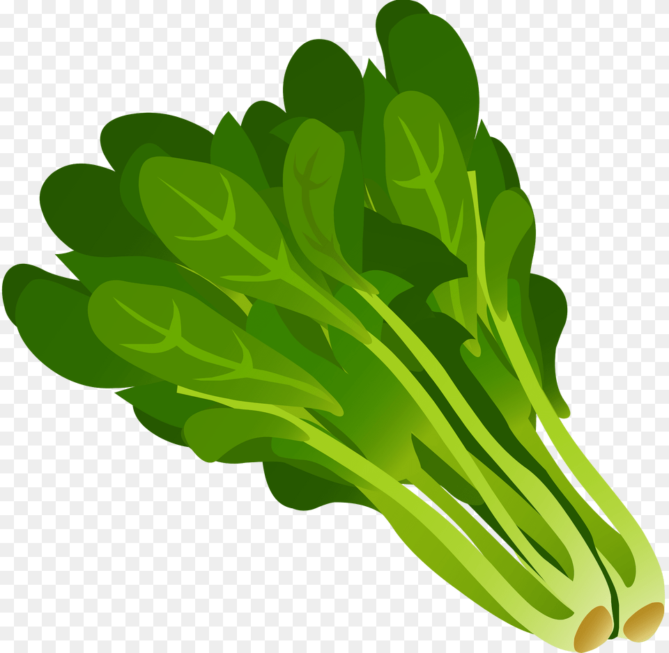 Green Spinach Clipart, Food, Leafy Green Vegetable, Plant, Produce Free Png