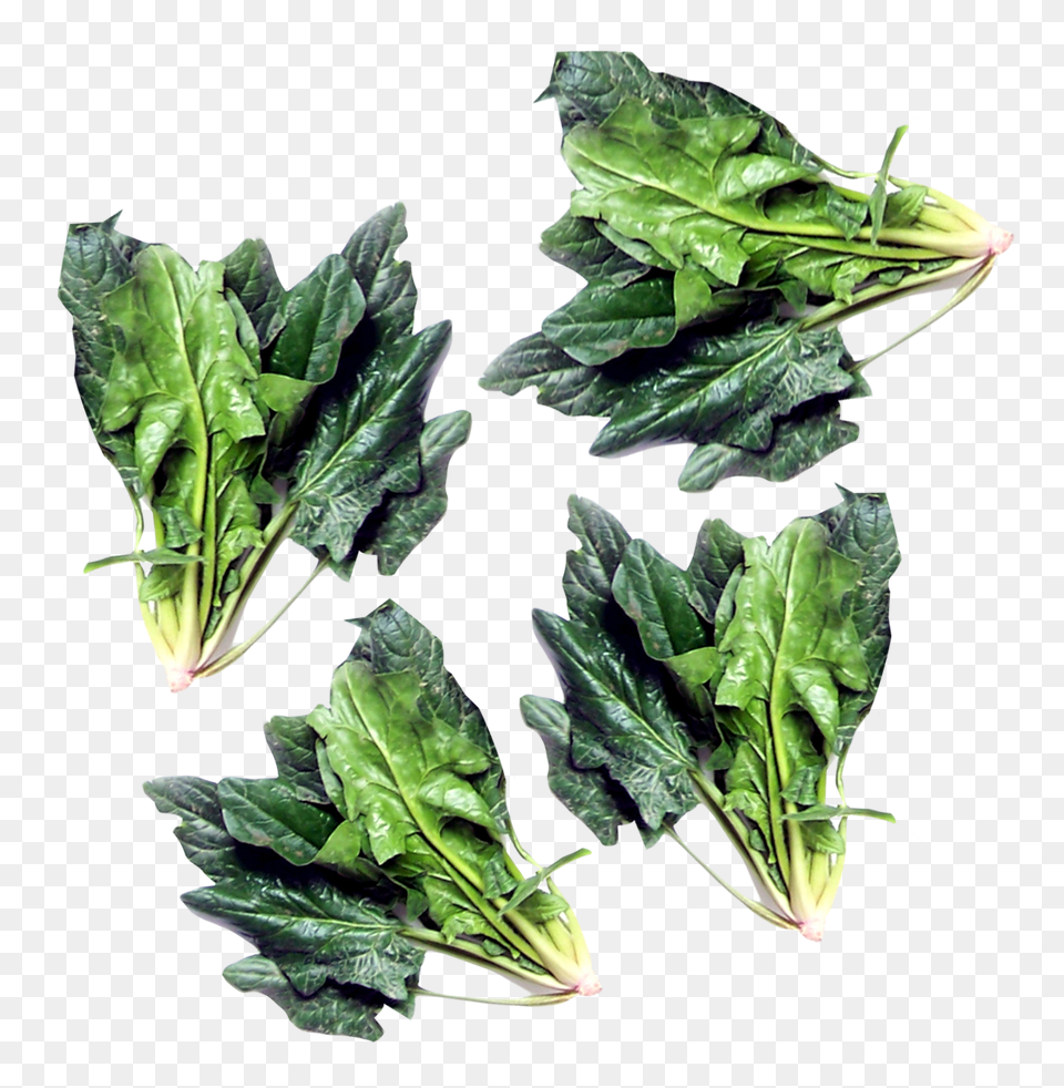 Green Spinach Image, Food, Leafy Green Vegetable, Plant, Produce Free Transparent Png