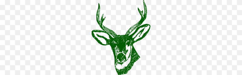Green Stag Head Clip Art, Animal, Deer, Mammal, Wildlife Free Png