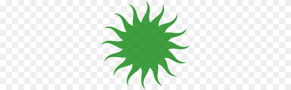 Green Sun Clip Art, Leaf, Plant, Animal, Fish Png Image