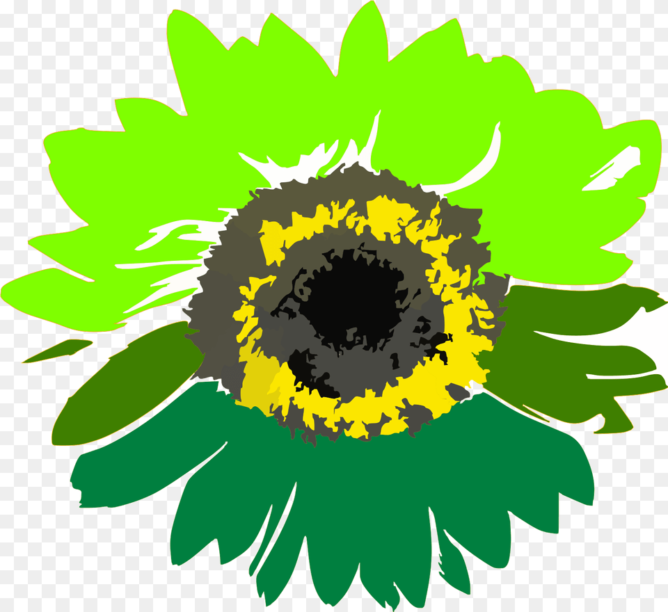 Green Sunflower Svg Vector Clip Art Svg Sunflower Drawing Background, Flower, Plant, Daisy, Graphics Free Transparent Png