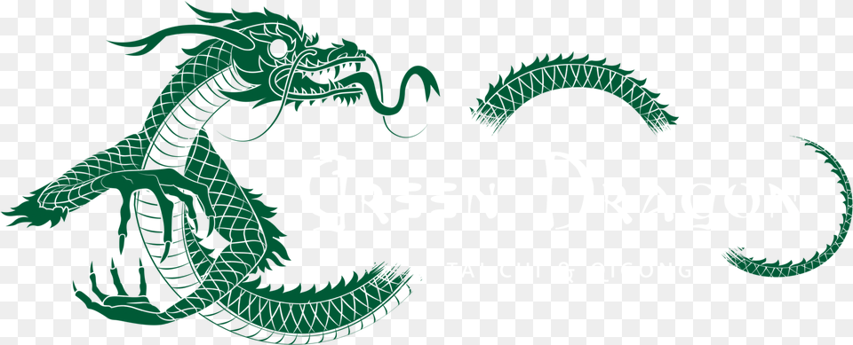 Green Tai Chi Dragon, Animal, Dinosaur, Reptile Free Transparent Png