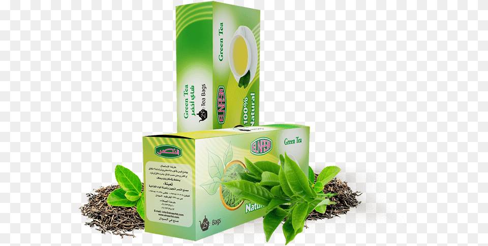 Green Tea Bags Finch, Beverage, Green Tea, Herbal, Herbs Png