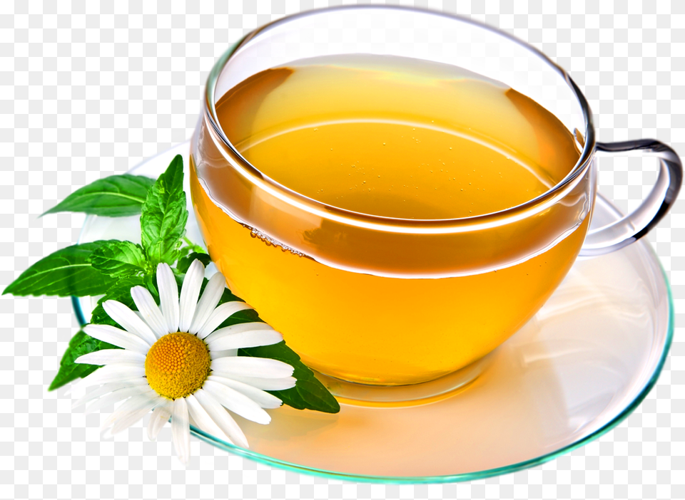 Green Tea Cup, Beverage, Plant, Herbs, Herbal Free Png