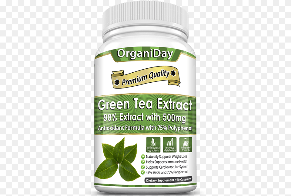 Green Tea Extract Green Coffee Beans Extract Capsules, Herbal, Herbs, Leaf, Plant Png
