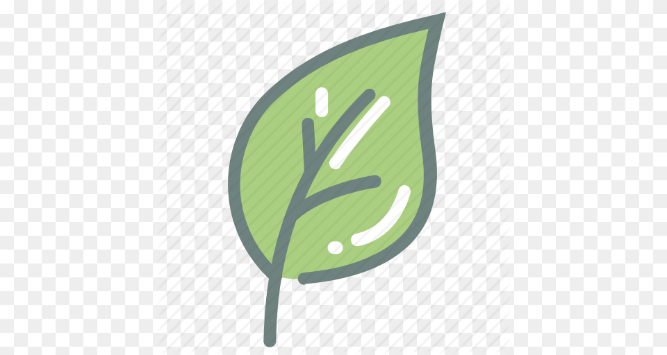 Green Tea Harvest Herb Leaf Leaves Matcha Tea Icon, Plant, Flower Png Image
