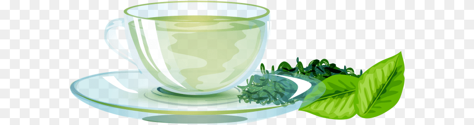 Green Tea Image Download Searchpng Green Tea, Beverage, Cup, Herbal, Herbs Png