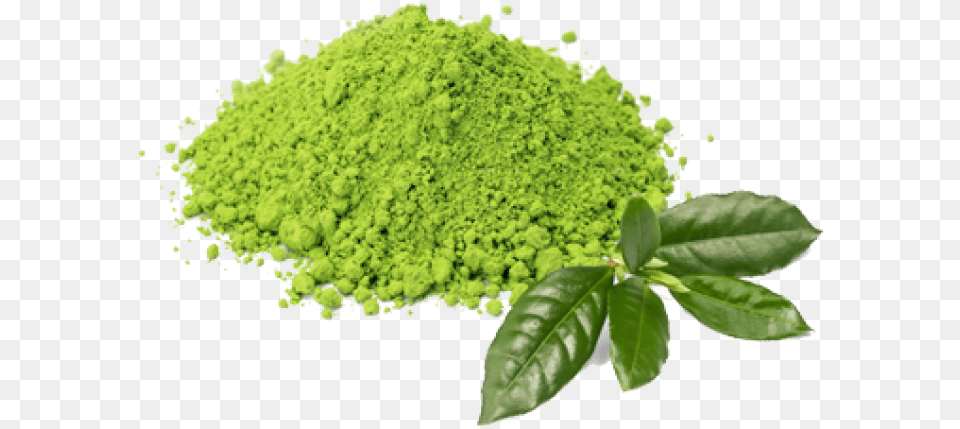 Green Tea Images Green Tea Powder, Plant, Moss, Herbal, Herbs Free Transparent Png