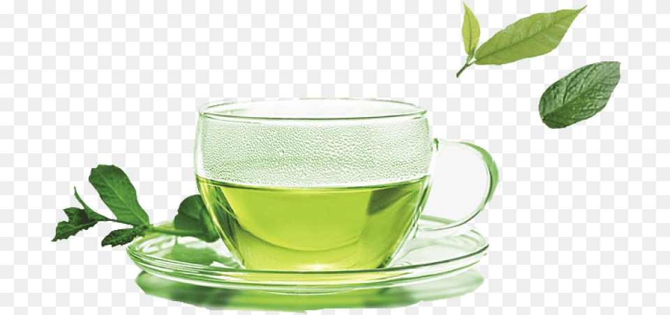 Green Tea Images Transparent Youlanda Tea Infuser Stainless Steel Tea Strainer, Beverage, Green Tea, Cup Free Png Download
