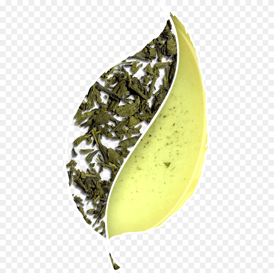 Green Tea Leaf Banana, Beverage, Green Tea Png