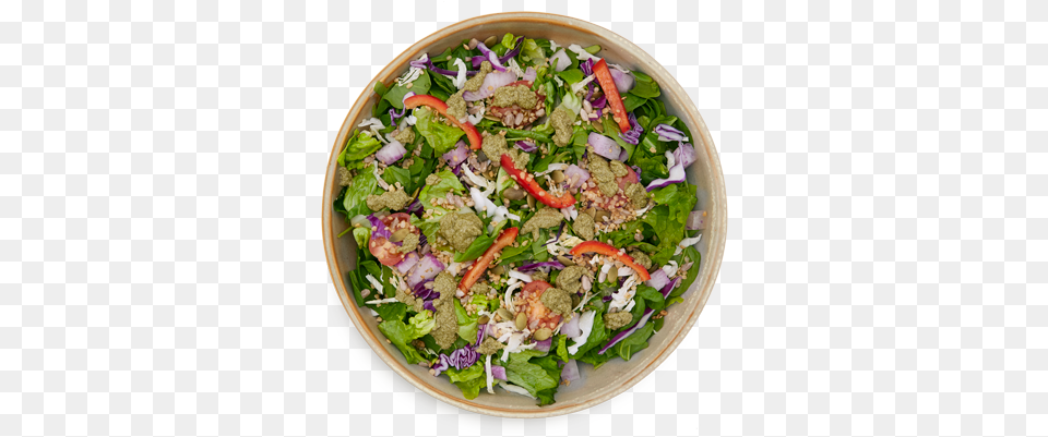 Green Tea Leaf Salad Garden Salad, Food, Food Presentation, Dining Table, Furniture Free Png Download