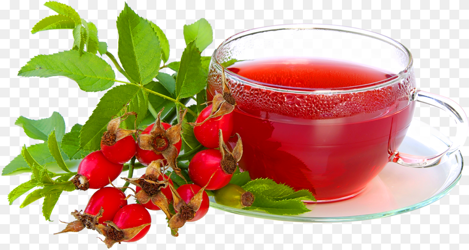 Green Tea Leaf With Cup Rosehip Tea, Herbal, Herbs, Plant, Saucer Png Image