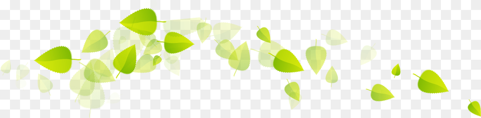 Green Tea Leaves Floating Leave Transparent, Leaf, Plant Png Image