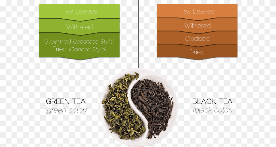 Green Tea Leaves Vs Black Tea Leaves, Beverage, Green Tea Png