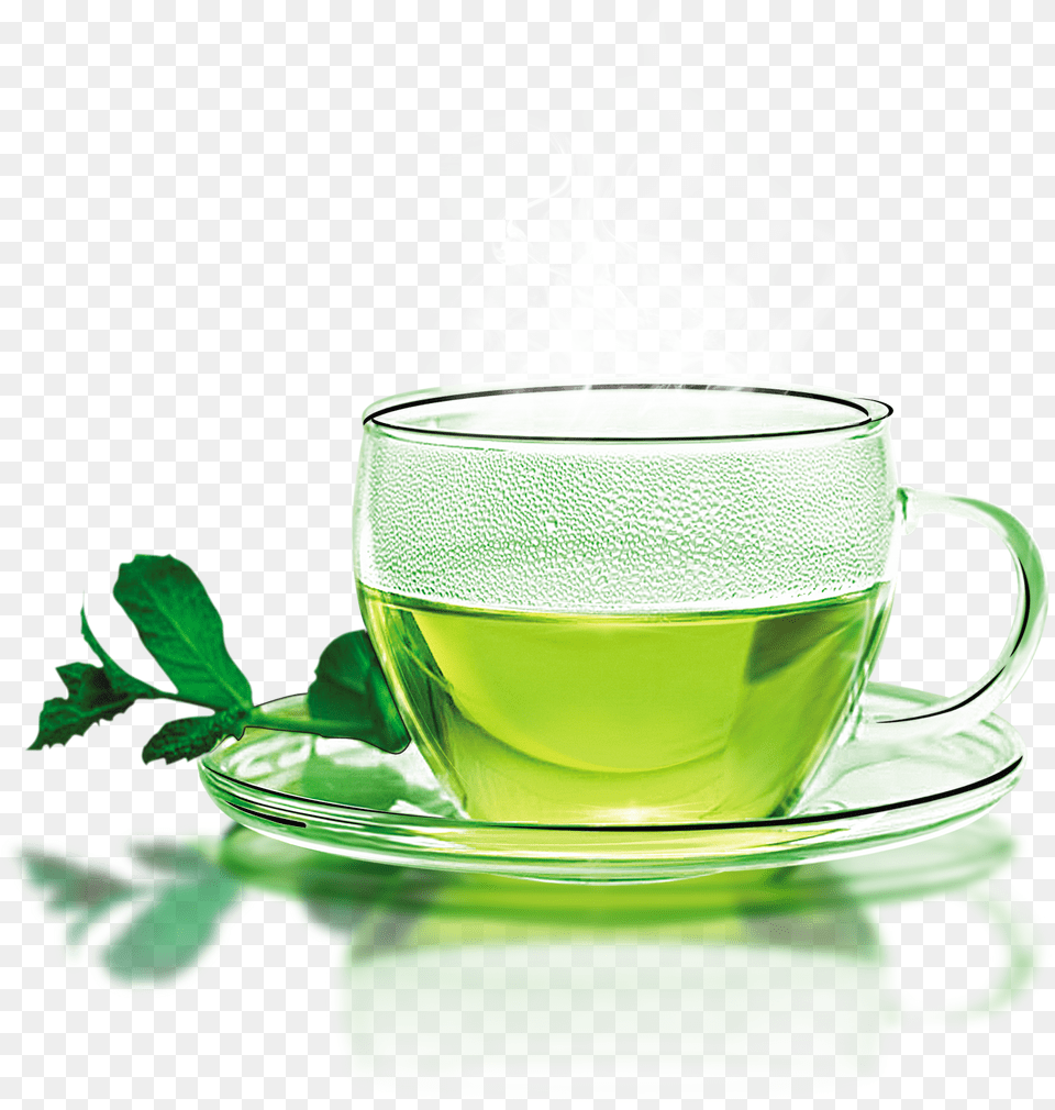 Green Tea Longjing Tea White Tea Flowering Tea Glass Green Tea Cup, Beverage, Green Tea, Herbs, Plant Free Png Download