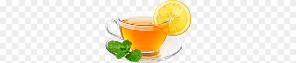 Green Tea Mages Herbal Tea Images, Herbs, Plant, Mint, Beverage Free Png