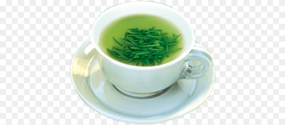 Green Tea Teacup Gratis Cup, Beverage, Green Tea, Herbal, Herbs Png