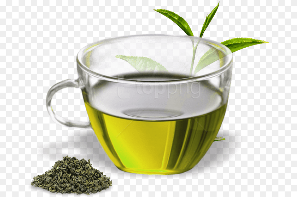 Green Tea Cup, Beverage, Green Tea Free Transparent Png