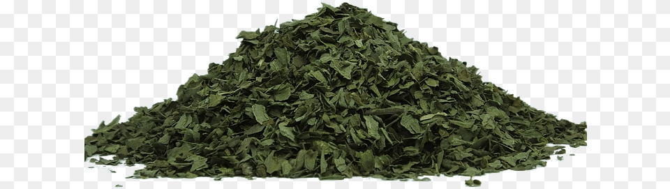Green Tea Tulsi Dry Leaves, Herbs, Plant Free Transparent Png