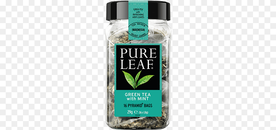 Green Tea With Mint Pure Leaf Chai Tea, Herbal, Herbs, Plant, Beverage Free Png